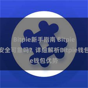 Bitpie新手指南 Bitpie钱包安全可靠吗？详细解析Bitpie钱包优势
