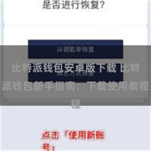 比特派钱包安卓版下载 比特派钱包新手指南：下载使用教程