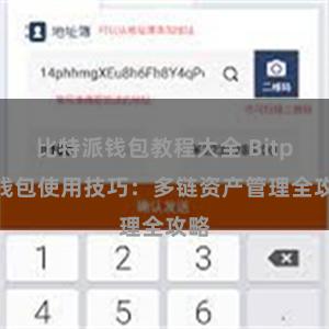 比特派钱包教程大全 Bitpie钱包使用技巧：多链资产管理全攻略
