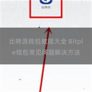 比特派钱包教程大全 Bitpie钱包常见问题解决方法