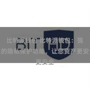 比特派钱包 比特派钱包：强大的隐私保护功能，让您资产更安全