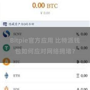 Bitpie官方应用 比特派钱包如何应对网络拥堵？