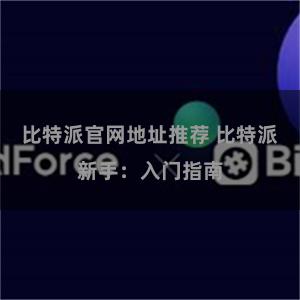 比特派官网地址推荐 比特派新手：入门指南