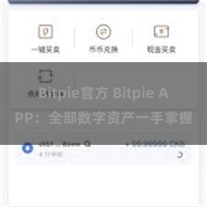 Bitpie官方 Bitpie APP：全部数字资产一手掌握