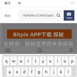 Bitpie APP下载 探秘比特派：数码世界的未来体验