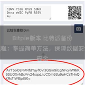 Bitpie版本 比特派备份教程：掌握简单方法，保障数据安全