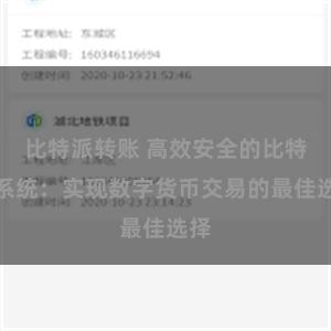 比特派转账 高效安全的比特派系统：实现数字货币交易的最佳选择