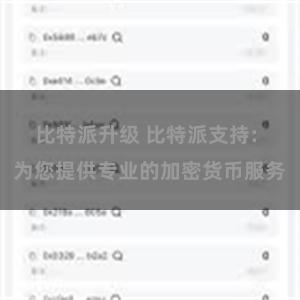 比特派升级 比特派支持: 为您提供专业的加密货币服务