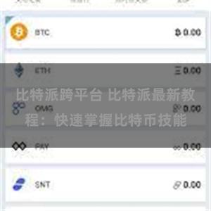 比特派跨平台 比特派最新教程：快速掌握比特币技能