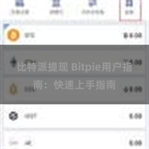 比特派提现 Bitpie用户指南：快速上手指南