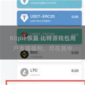 Bitpie恢复 比特派钱包用户专属福利，尽在其中
