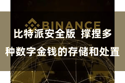 比特派安全版  撑捏多种数字金钱的存储和处置