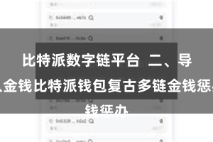 比特派数字链平台  二、导入金钱比特派钱包复古多链金钱惩办