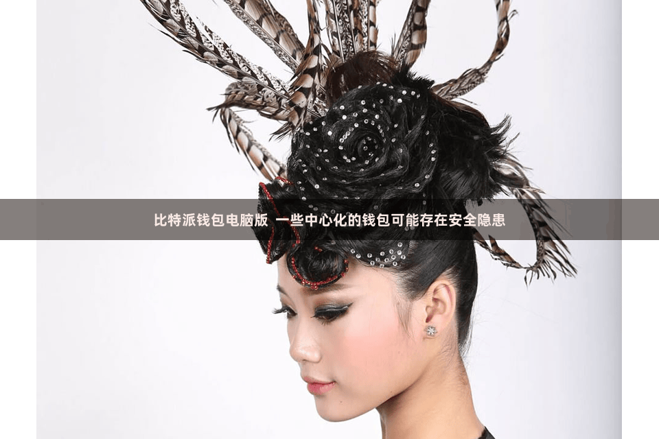 比特派钱包电脑版  一些中心化的钱包可能存在安全隐患