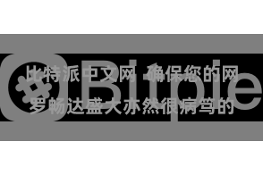 比特派中文网  确保您的网罗畅达盛大亦然很病笃的